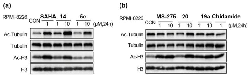 https://cdn.ncbi.nlm.nih.gov/pmc/blobs/7e4b/11477621/bdab22145d45/molecules-29-04653-g003.jpg