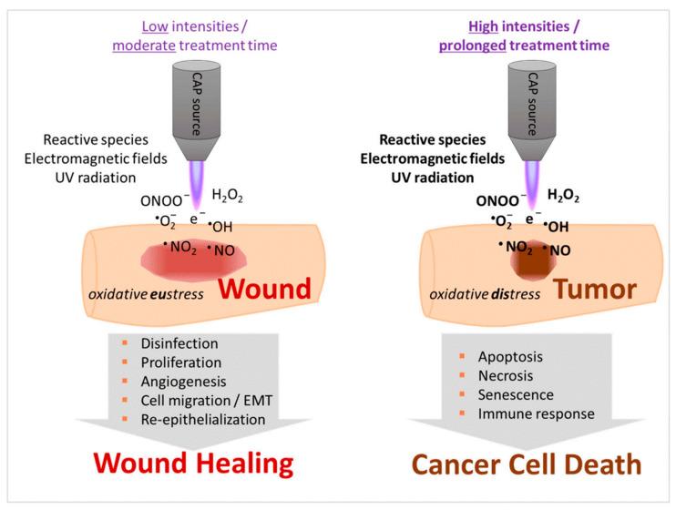 https://cdn.ncbi.nlm.nih.gov/pmc/blobs/7e6d/9565759/2a87e3d7d6c0/nanomaterials-12-03397-g003.jpg