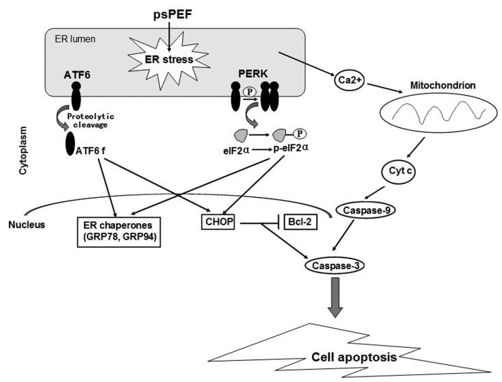https://cdn.ncbi.nlm.nih.gov/pmc/blobs/7e6d/9565759/34d5b97d1bcf/nanomaterials-12-03397-g006.jpg