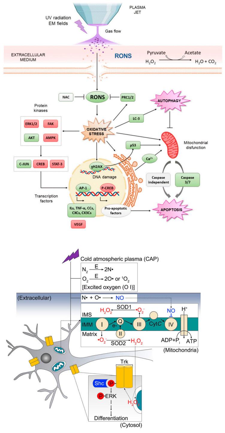 https://cdn.ncbi.nlm.nih.gov/pmc/blobs/7e6d/9565759/43d19694dfb5/nanomaterials-12-03397-g004.jpg