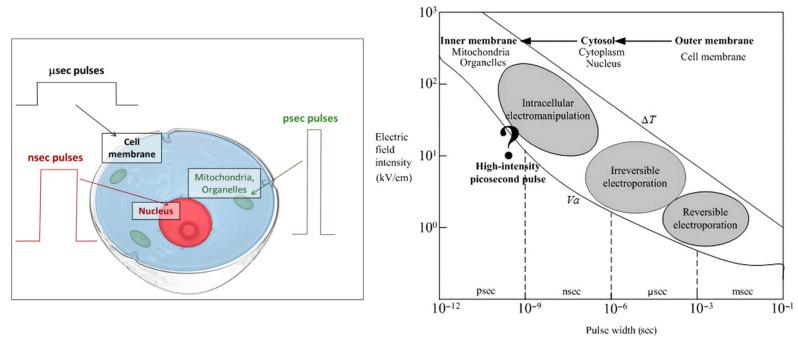 https://cdn.ncbi.nlm.nih.gov/pmc/blobs/7e6d/9565759/99f7159a84c3/nanomaterials-12-03397-g005.jpg