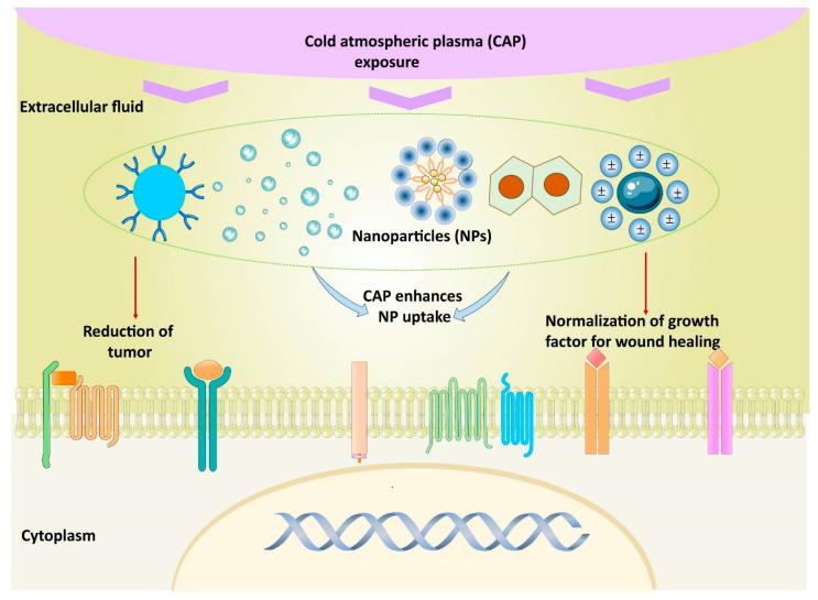 https://cdn.ncbi.nlm.nih.gov/pmc/blobs/7e6d/9565759/bea1b9e8be0e/nanomaterials-12-03397-g009.jpg