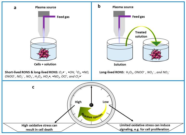 https://cdn.ncbi.nlm.nih.gov/pmc/blobs/7e6d/9565759/e355a291728f/nanomaterials-12-03397-g001.jpg