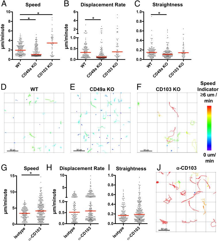 https://cdn.ncbi.nlm.nih.gov/pmc/blobs/7e75/7275699/1a28c4c13961/pnas.1915681117fig04.jpg