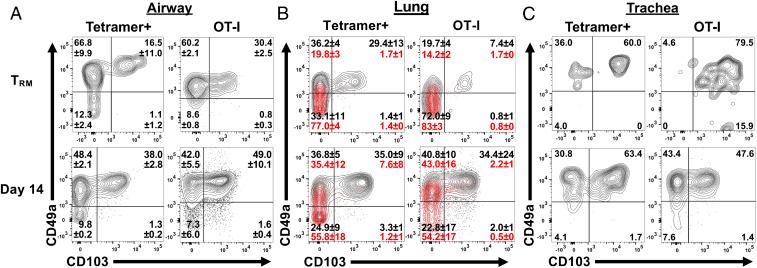 https://cdn.ncbi.nlm.nih.gov/pmc/blobs/7e75/7275699/e8f15f45ea8a/pnas.1915681117fig01.jpg