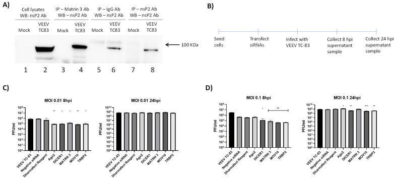 https://cdn.ncbi.nlm.nih.gov/pmc/blobs/7eab/9331859/9ab311e17169/viruses-14-01628-g007.jpg