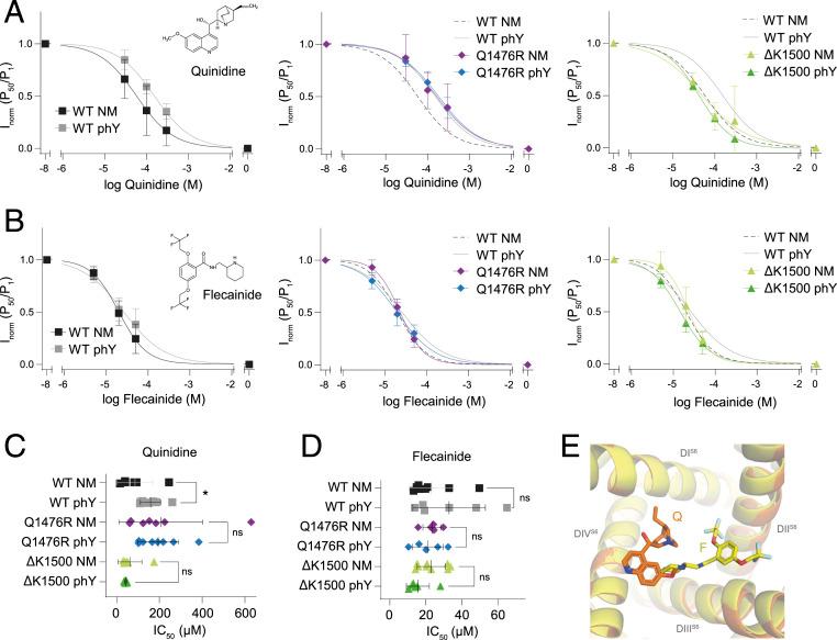 https://cdn.ncbi.nlm.nih.gov/pmc/blobs/7eb6/8379932/68c17391a3ab/pnas.2025320118fig04.jpg