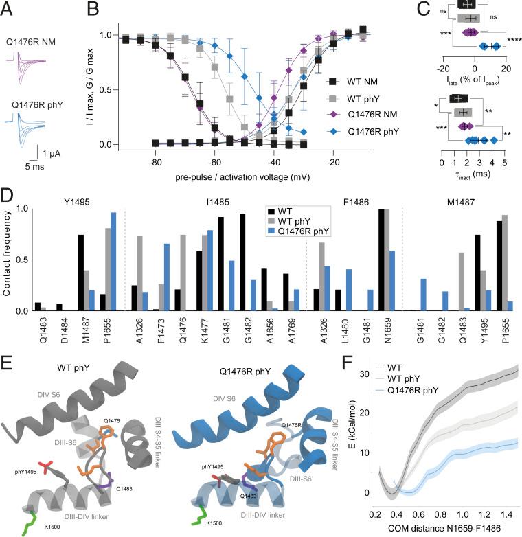 https://cdn.ncbi.nlm.nih.gov/pmc/blobs/7eb6/8379932/9e366a0aab02/pnas.2025320118fig02.jpg