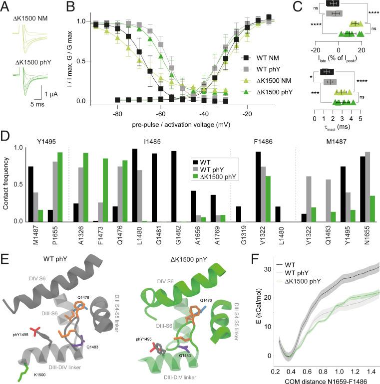 https://cdn.ncbi.nlm.nih.gov/pmc/blobs/7eb6/8379932/b6cd6c76a20d/pnas.2025320118fig03.jpg