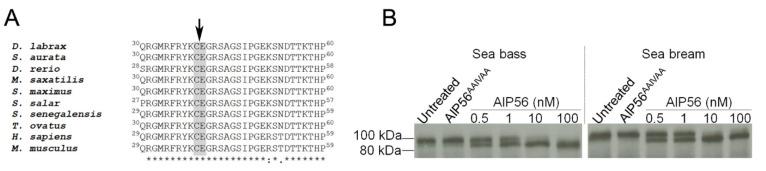https://cdn.ncbi.nlm.nih.gov/pmc/blobs/7ebc/8875918/fc67d5f25368/toxins-14-00119-g003.jpg