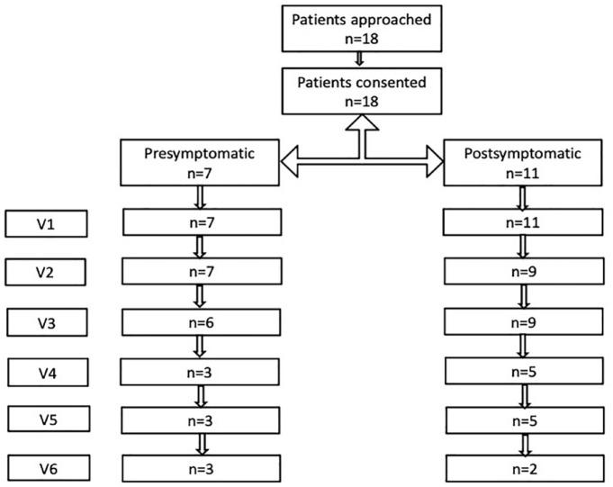 https://cdn.ncbi.nlm.nih.gov/pmc/blobs/7ec4/9944336/66430dd4ffdc/10.1177_17562864231154335-fig1.jpg