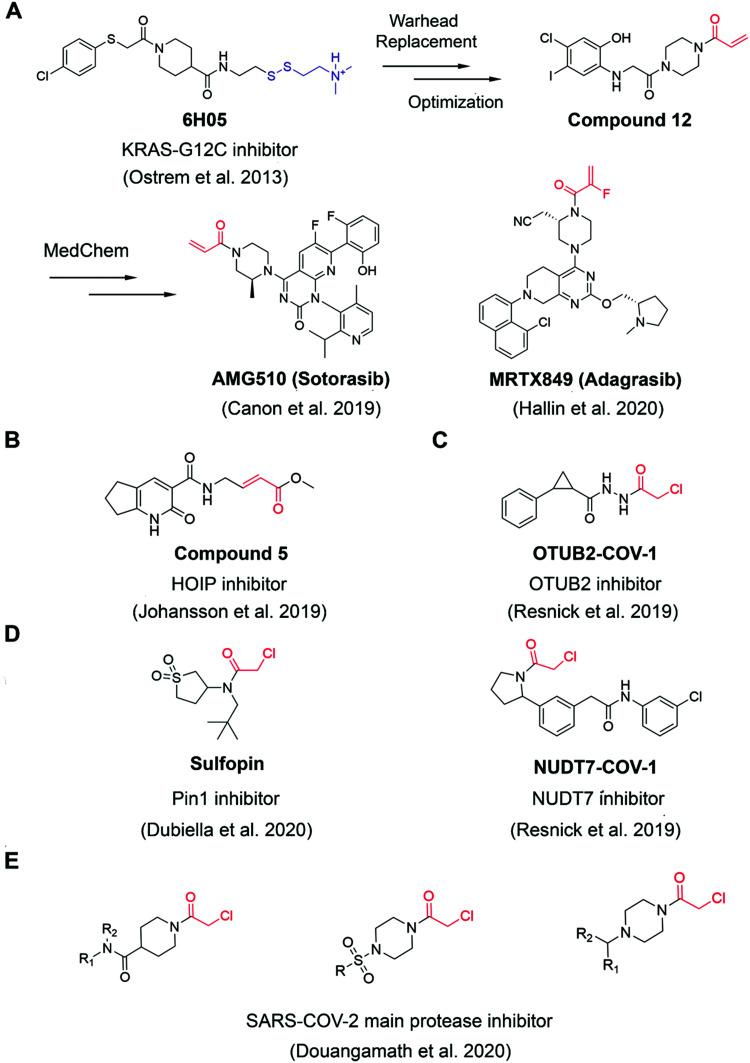https://cdn.ncbi.nlm.nih.gov/pmc/blobs/7ec6/8341680/1bf1ed75b27e/d1cb90008k-f2.jpg