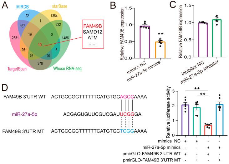 https://cdn.ncbi.nlm.nih.gov/pmc/blobs/7eca/11900246/7676a8b80606/ijms-26-02294-g005.jpg