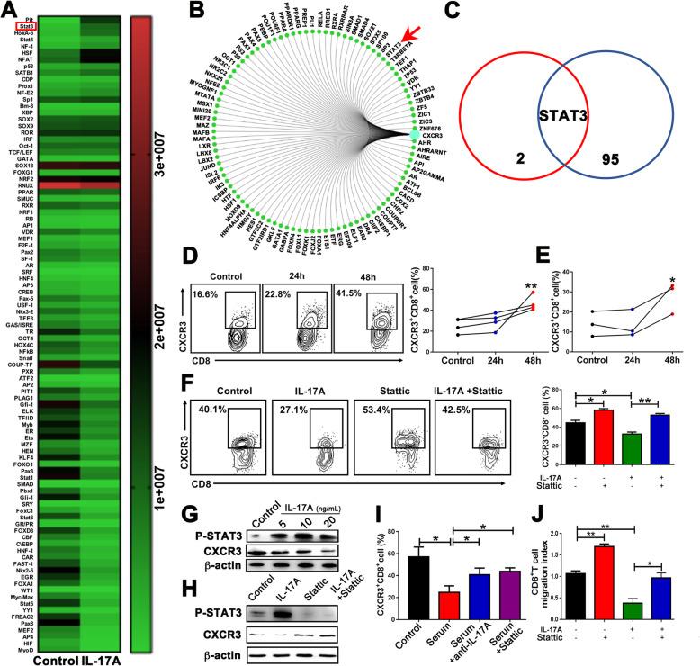 https://cdn.ncbi.nlm.nih.gov/pmc/blobs/7ed0/7275425/89535df5e868/13045_2020_897_Fig4_HTML.jpg