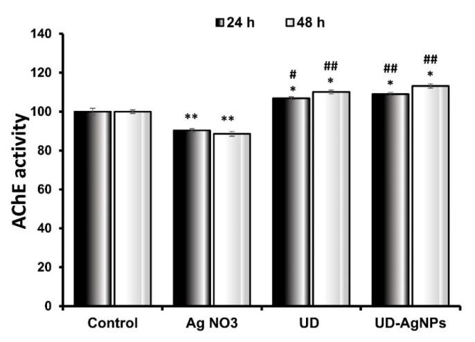 https://cdn.ncbi.nlm.nih.gov/pmc/blobs/7edd/9774676/84c98203777f/antibiotics-11-01690-g008.jpg