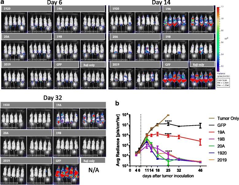 https://cdn.ncbi.nlm.nih.gov/pmc/blobs/7ee3/5433150/7248c21c90e2/40425_2017_246_Fig6_HTML.jpg