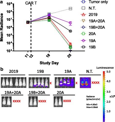 https://cdn.ncbi.nlm.nih.gov/pmc/blobs/7ee3/5433150/cba31fccfe55/40425_2017_246_Fig10_HTML.jpg