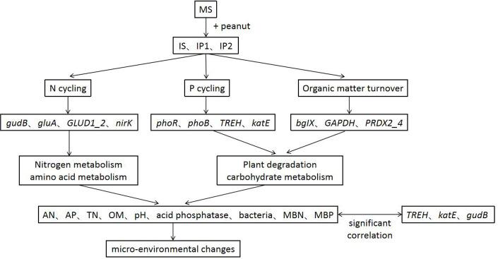 https://cdn.ncbi.nlm.nih.gov/pmc/blobs/7ef4/7894120/aad503768cf8/peerj-09-10880-g008.jpg