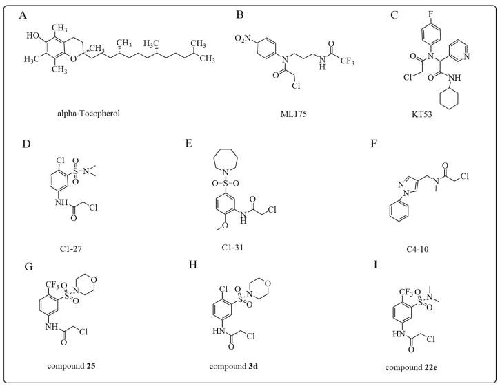 https://cdn.ncbi.nlm.nih.gov/pmc/blobs/7f0d/10668987/7c384fabf90f/antioxidants-12-01970-g012.jpg