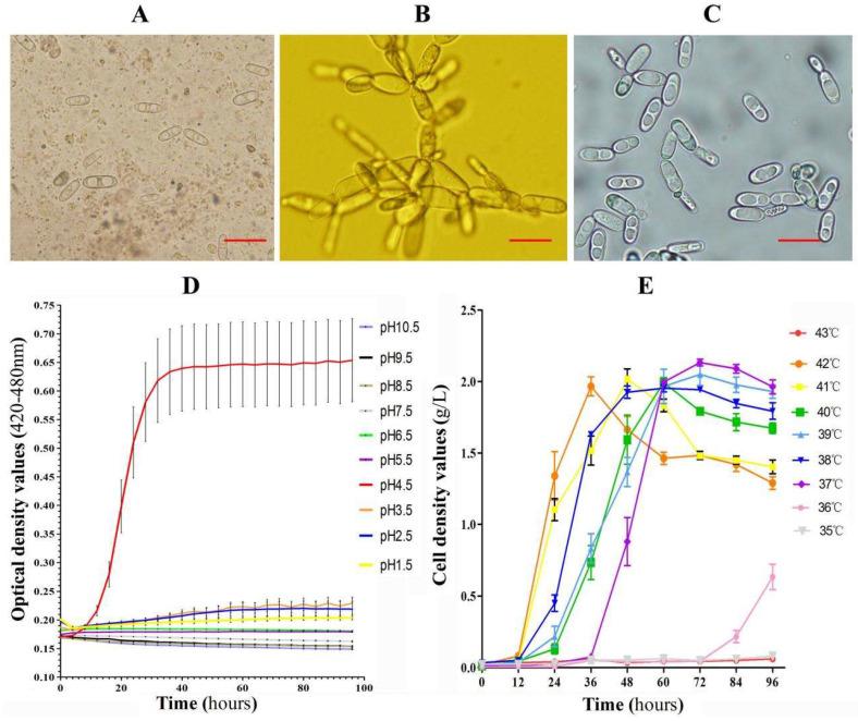 https://cdn.ncbi.nlm.nih.gov/pmc/blobs/7f24/8308713/403175ebc8ac/pathogens-10-00880-g001.jpg