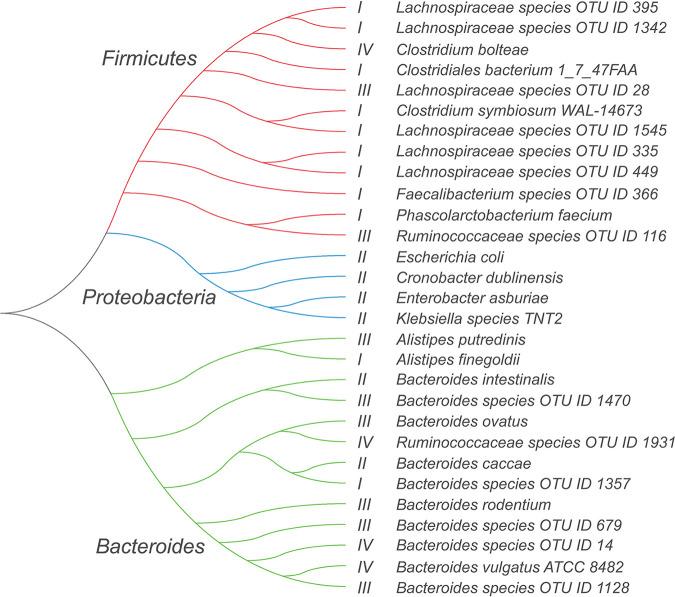 https://cdn.ncbi.nlm.nih.gov/pmc/blobs/7f2f/8754120/dd5fc5cef5b0/spectrum.01960-21-f007.jpg