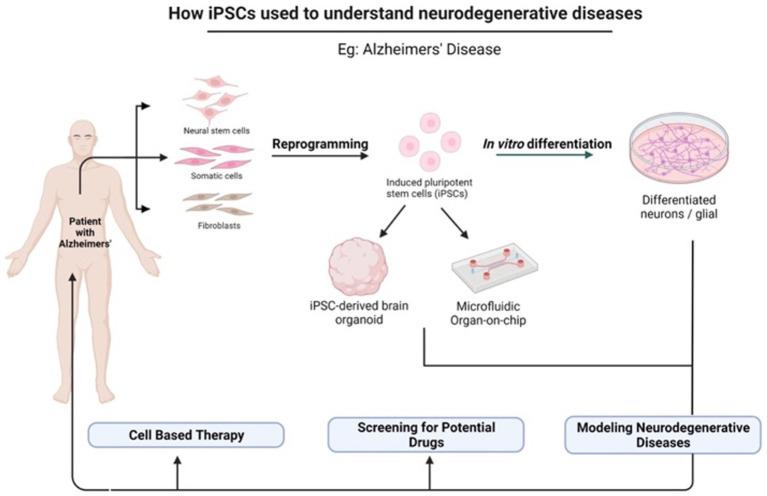 https://cdn.ncbi.nlm.nih.gov/pmc/blobs/7f37/10435272/4cc7ac4fb390/fnmol-16-1173433-g002.jpg