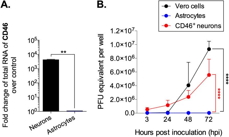 https://cdn.ncbi.nlm.nih.gov/pmc/blobs/7f3b/8092232/11e2a0fe0ca1/mBio.00288-21_f002.jpg