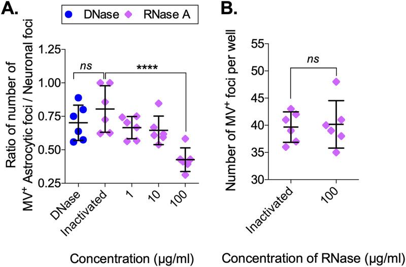 https://cdn.ncbi.nlm.nih.gov/pmc/blobs/7f3b/8092232/84fdd6def6b1/mBio.00288-21_f008.jpg