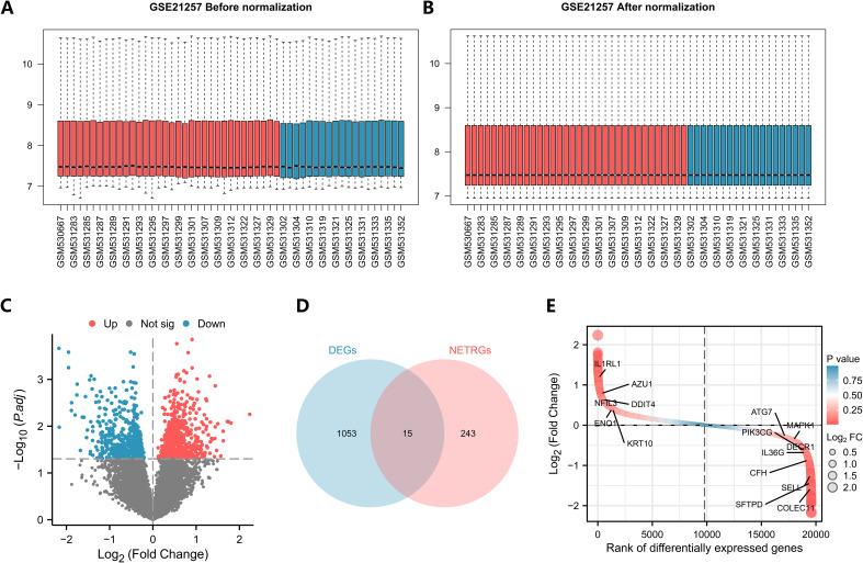 https://cdn.ncbi.nlm.nih.gov/pmc/blobs/7f56/12018237/ff65451de863/fonc-15-1551074-g002.jpg