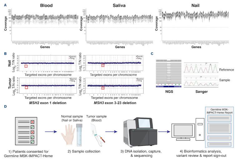 https://cdn.ncbi.nlm.nih.gov/pmc/blobs/7f79/11443390/e2b17c2b76ae/1093383.fig1.jpg
