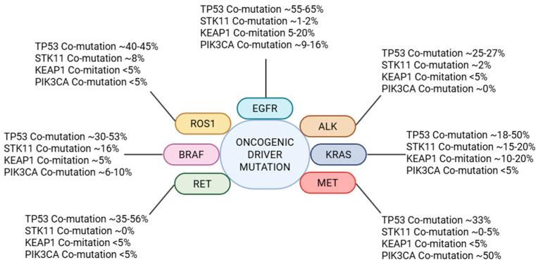 https://cdn.ncbi.nlm.nih.gov/pmc/blobs/7feb/12293187/cc24d7a6431f/cancers-17-02388-g001.jpg