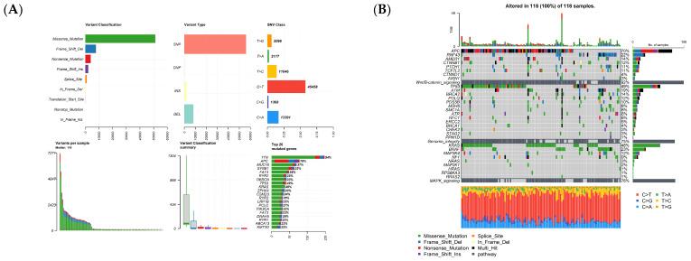 https://cdn.ncbi.nlm.nih.gov/pmc/blobs/8016/10486397/fc358bd6f34e/cancers-15-04300-g001a.jpg