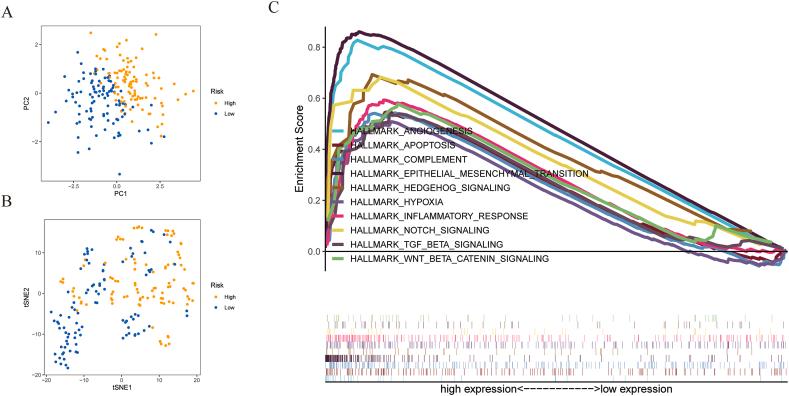 https://cdn.ncbi.nlm.nih.gov/pmc/blobs/8024/11000021/103361a29bd7/gr8.jpg