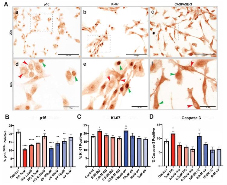https://cdn.ncbi.nlm.nih.gov/pmc/blobs/8033/10452201/00476728f02c/biomolecules-13-01257-g002.jpg