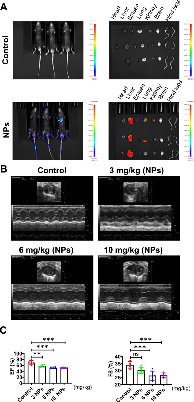 https://cdn.ncbi.nlm.nih.gov/pmc/blobs/8057/10918962/8ffff3f3ee2e/12951_2024_2375_Fig1_HTML.jpg