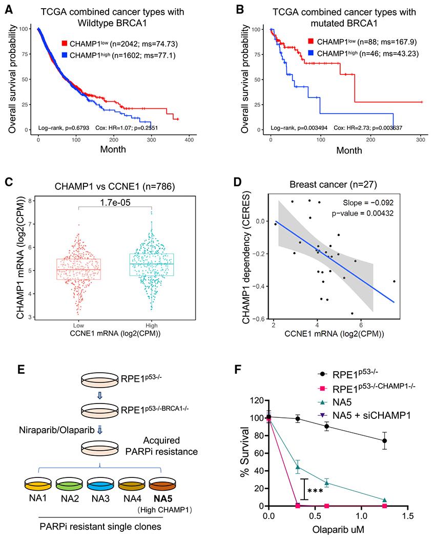 https://cdn.ncbi.nlm.nih.gov/pmc/blobs/8069/9472291/4fed1d5d9000/nihms-1833564-f0006.jpg