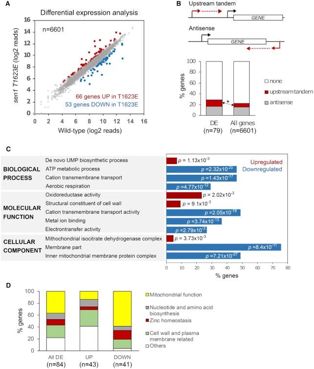 https://cdn.ncbi.nlm.nih.gov/pmc/blobs/8070/8860598/419a4dd65478/gkab1304fig4.jpg