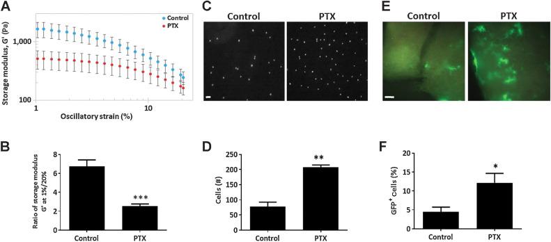 https://cdn.ncbi.nlm.nih.gov/pmc/blobs/8075/9762337/0dcc1e76a74a/278fig2.jpg