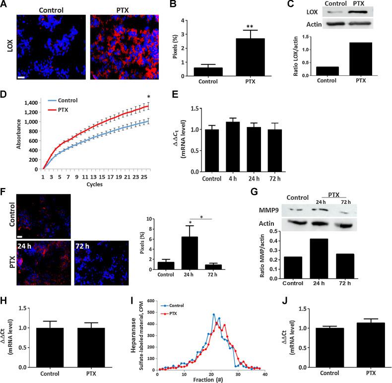 https://cdn.ncbi.nlm.nih.gov/pmc/blobs/8075/9762337/8e0464dedcda/278fig3.jpg