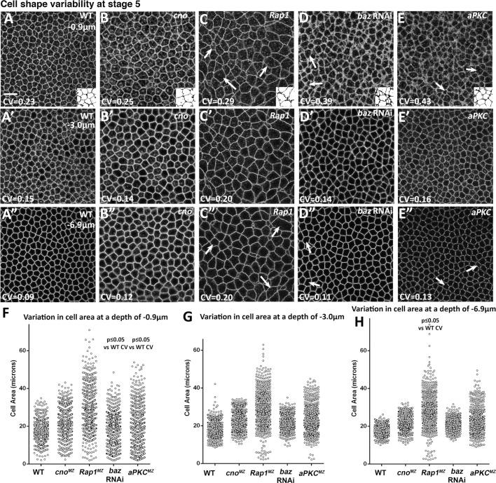 https://cdn.ncbi.nlm.nih.gov/pmc/blobs/808b/3608504/6b7efc031996/945fig10.jpg