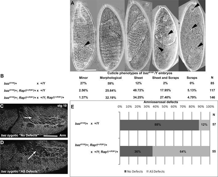 https://cdn.ncbi.nlm.nih.gov/pmc/blobs/808b/3608504/9e874b27b368/945fig3.jpg