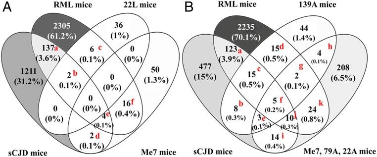 https://cdn.ncbi.nlm.nih.gov/pmc/blobs/808b/6765247/3577b0664b31/pnas.1803521116fig01.jpg