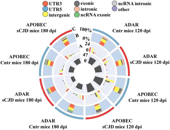 https://cdn.ncbi.nlm.nih.gov/pmc/blobs/808b/6765247/3d149df73214/pnas.1803521116fig06.jpg
