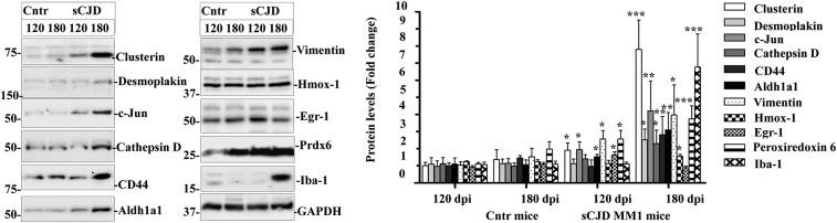 https://cdn.ncbi.nlm.nih.gov/pmc/blobs/808b/6765247/6fe58b02a737/pnas.1803521116fig05.jpg