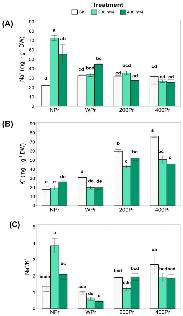 https://cdn.ncbi.nlm.nih.gov/pmc/blobs/80b3/11939278/225bdb6d94c9/antioxidants-14-00353-g003.jpg