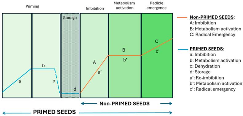 https://cdn.ncbi.nlm.nih.gov/pmc/blobs/80b3/11939278/9ac52b362c0b/antioxidants-14-00353-g001.jpg