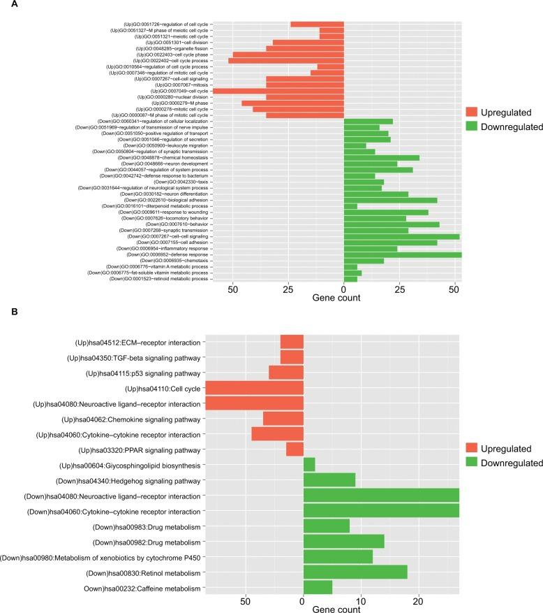 https://cdn.ncbi.nlm.nih.gov/pmc/blobs/80b3/6340501/0facb0832e1a/cmar-11-877Fig2.jpg