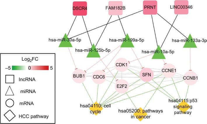 https://cdn.ncbi.nlm.nih.gov/pmc/blobs/80b3/6340501/6abfd96caef1/cmar-11-877Fig6.jpg