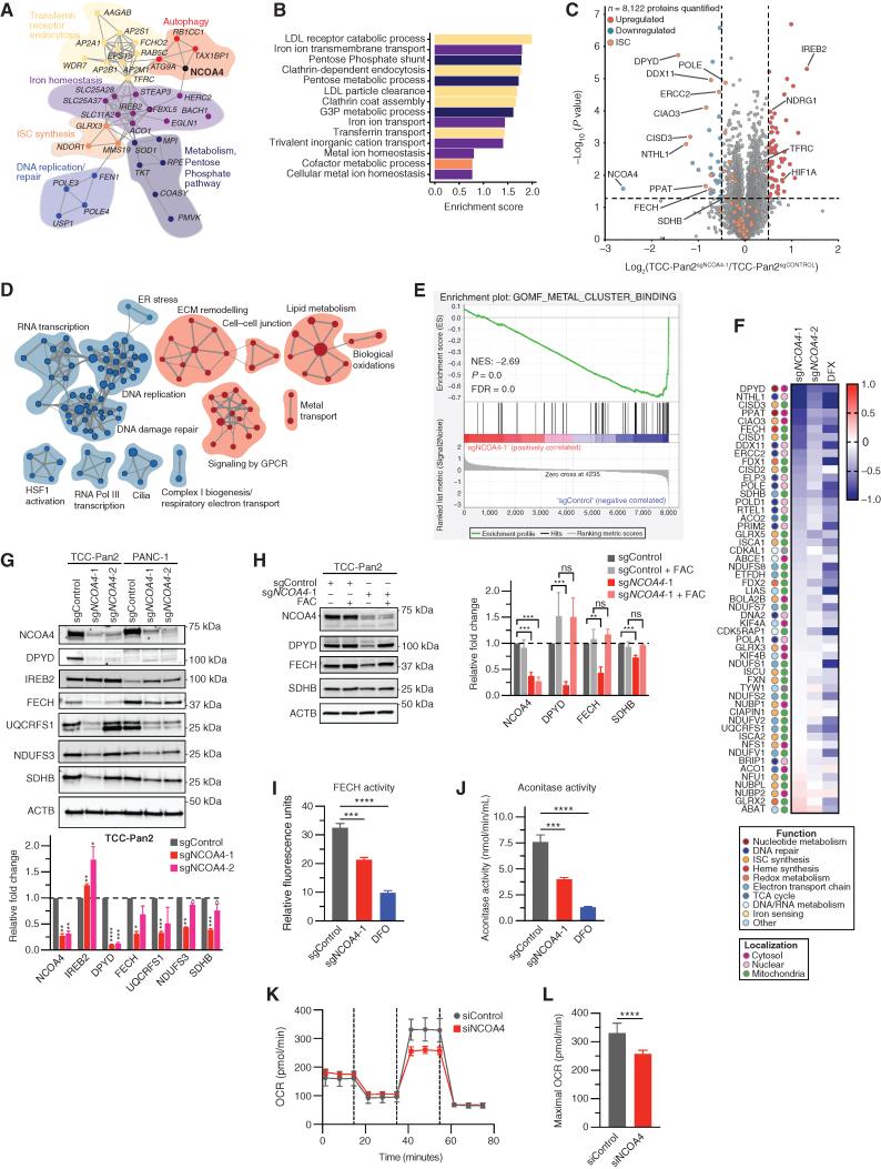 https://cdn.ncbi.nlm.nih.gov/pmc/blobs/80b7/9437572/34bc9d778586/2180fig4.jpg
