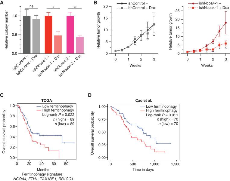 https://cdn.ncbi.nlm.nih.gov/pmc/blobs/80b7/9437572/e32e69596293/2180fig6.jpg